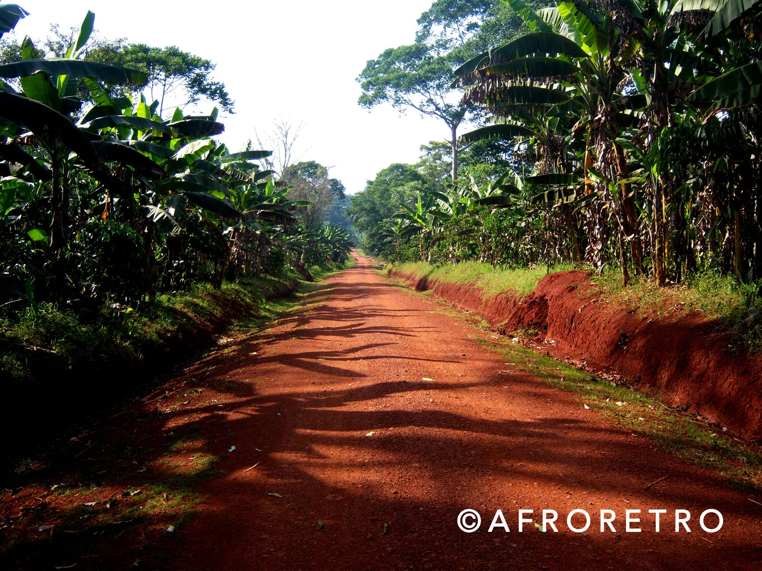 long-road-copy.jpg