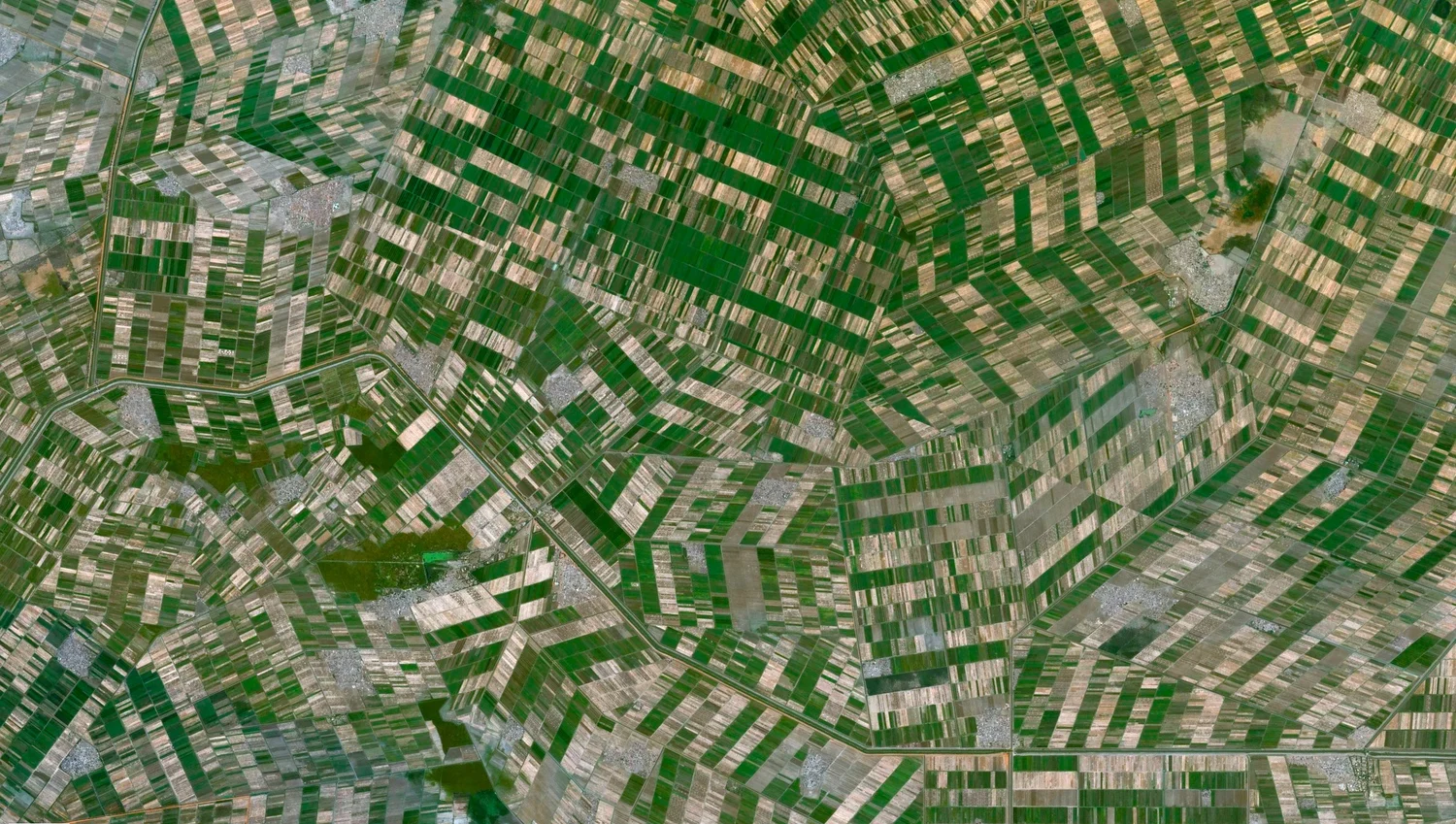 gezira irrigation scheme sudan water.jpeg