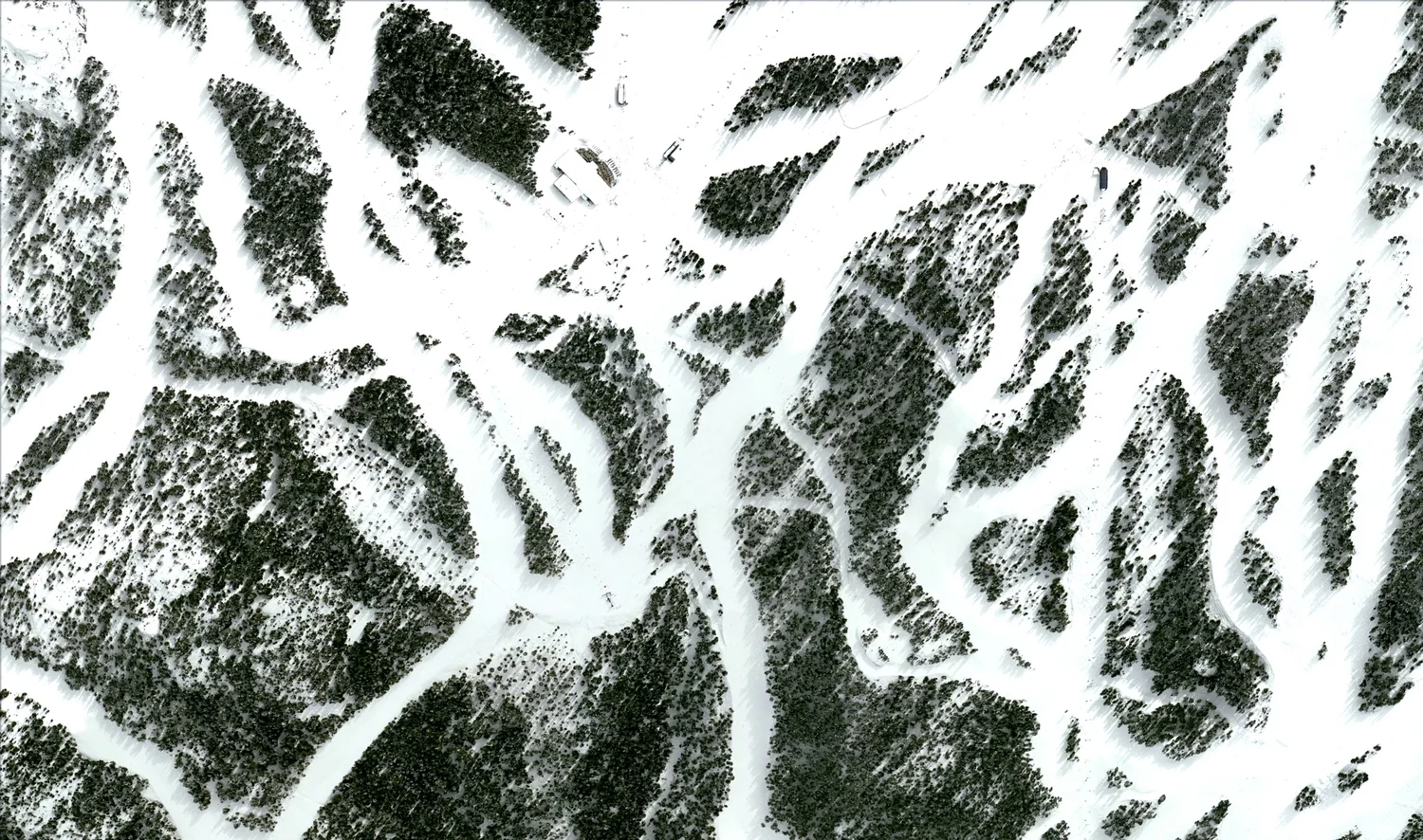 ski trails whistler tourism.jpeg