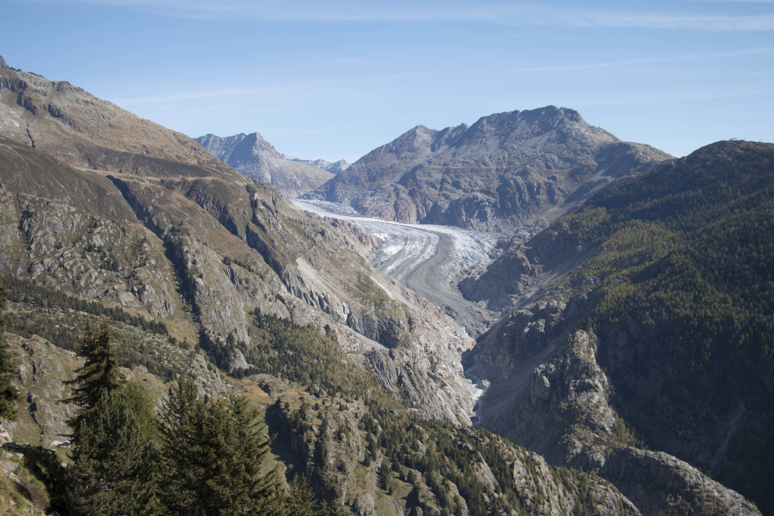 _MG_5290.jpg