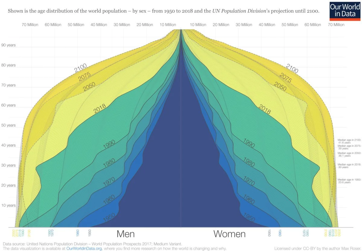 world-population-pyramid.jpeg