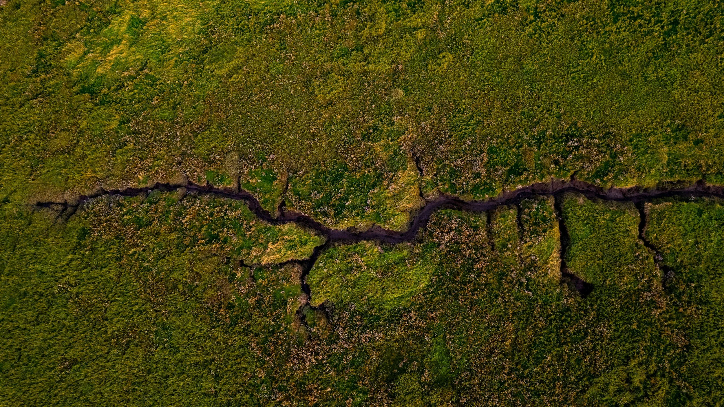 unsplash-image-AYaIMKiDxxQ.jpg
