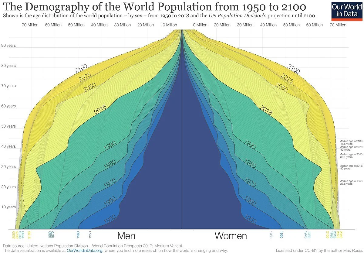 1200px-Global_Population-Pyramid-1950-to-2100.jpg