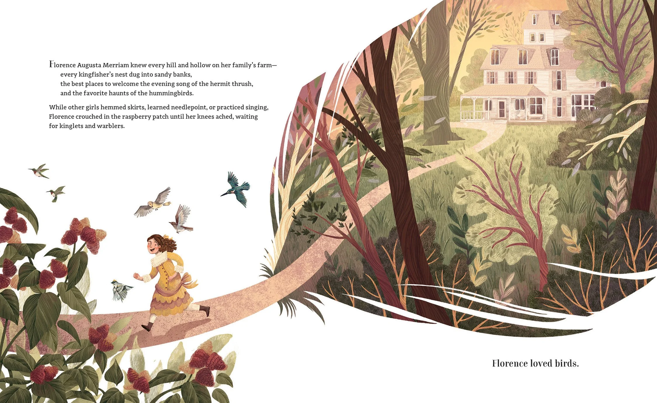 Feathers-website1.jpg