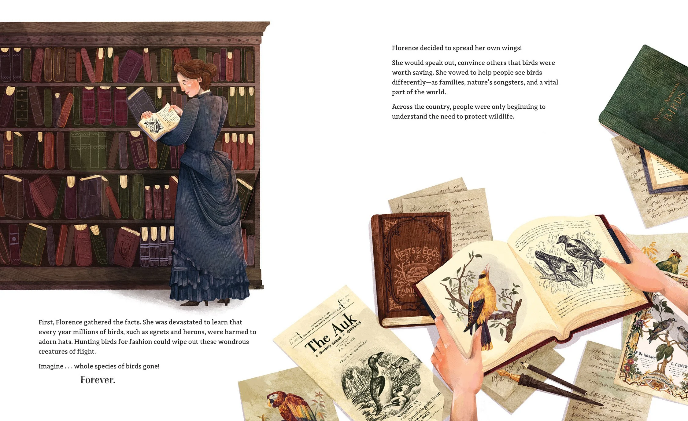 Feathers-website2.jpg