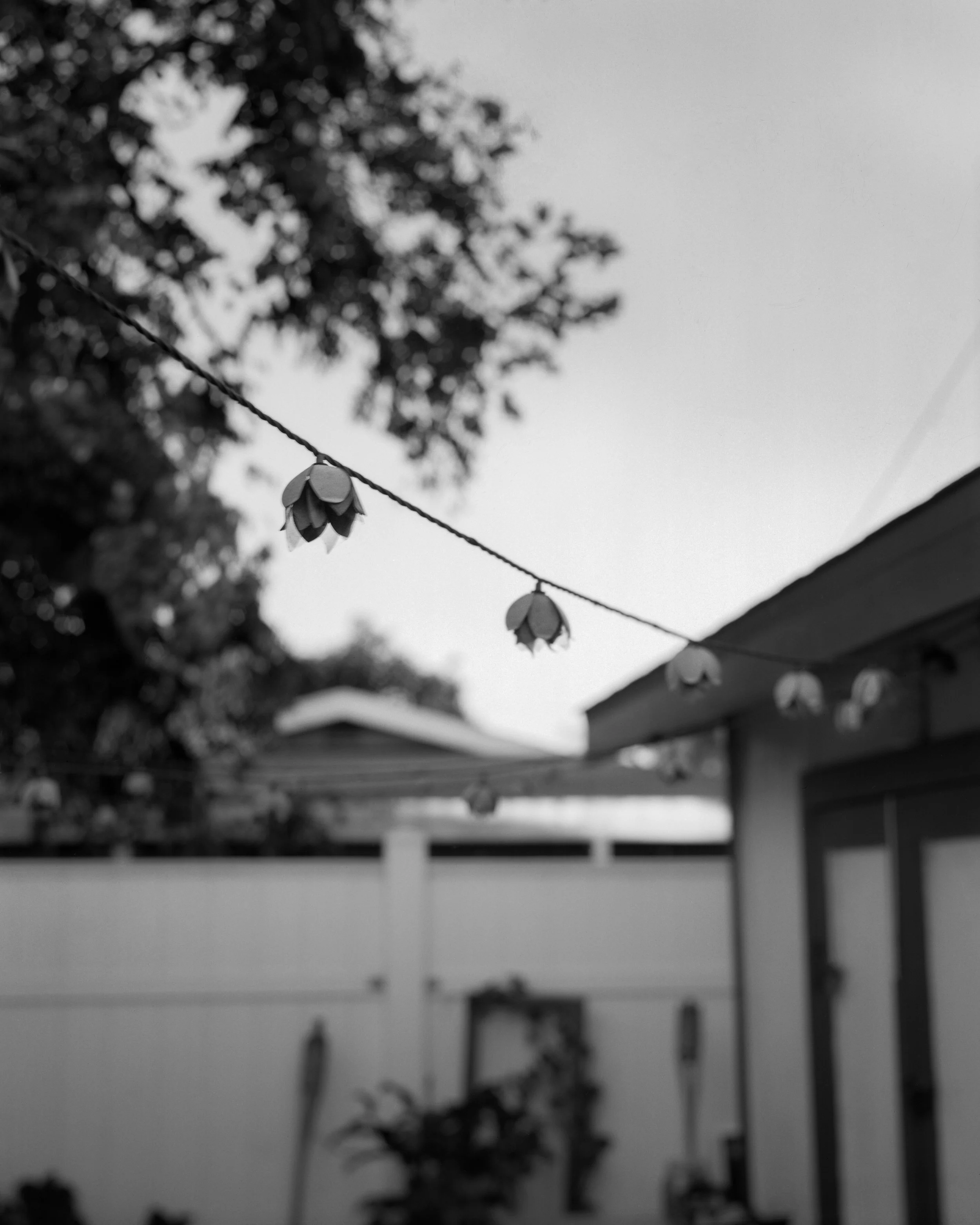 GoodAfternoon_057-Edit-Edit.jpg