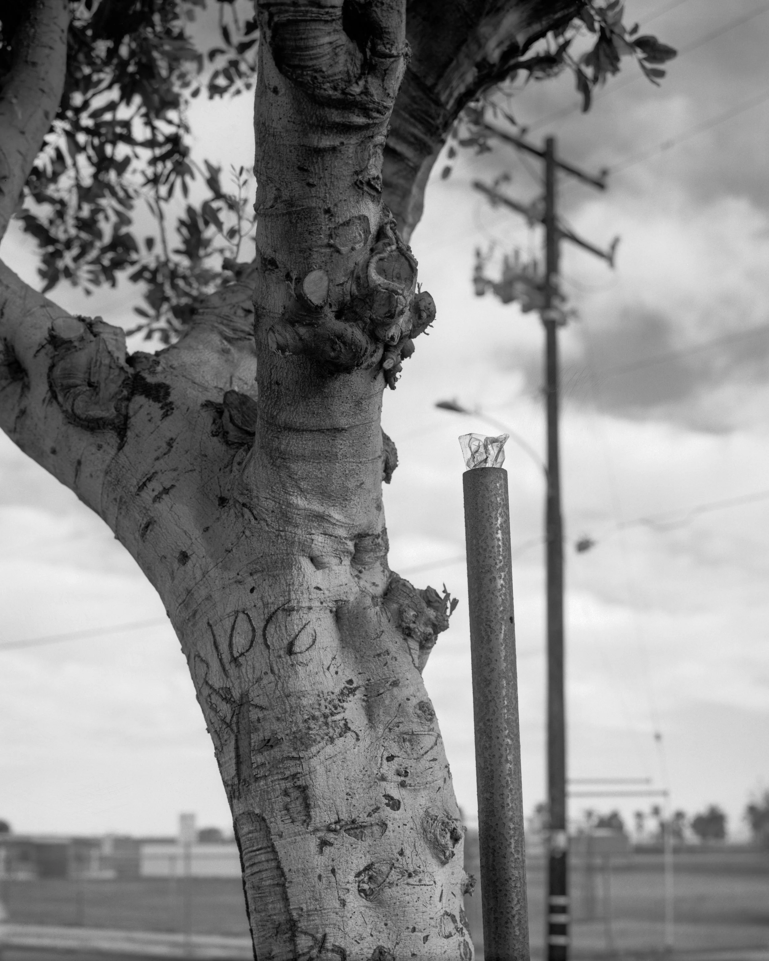 GoodAfternoon_038-Edit.jpg