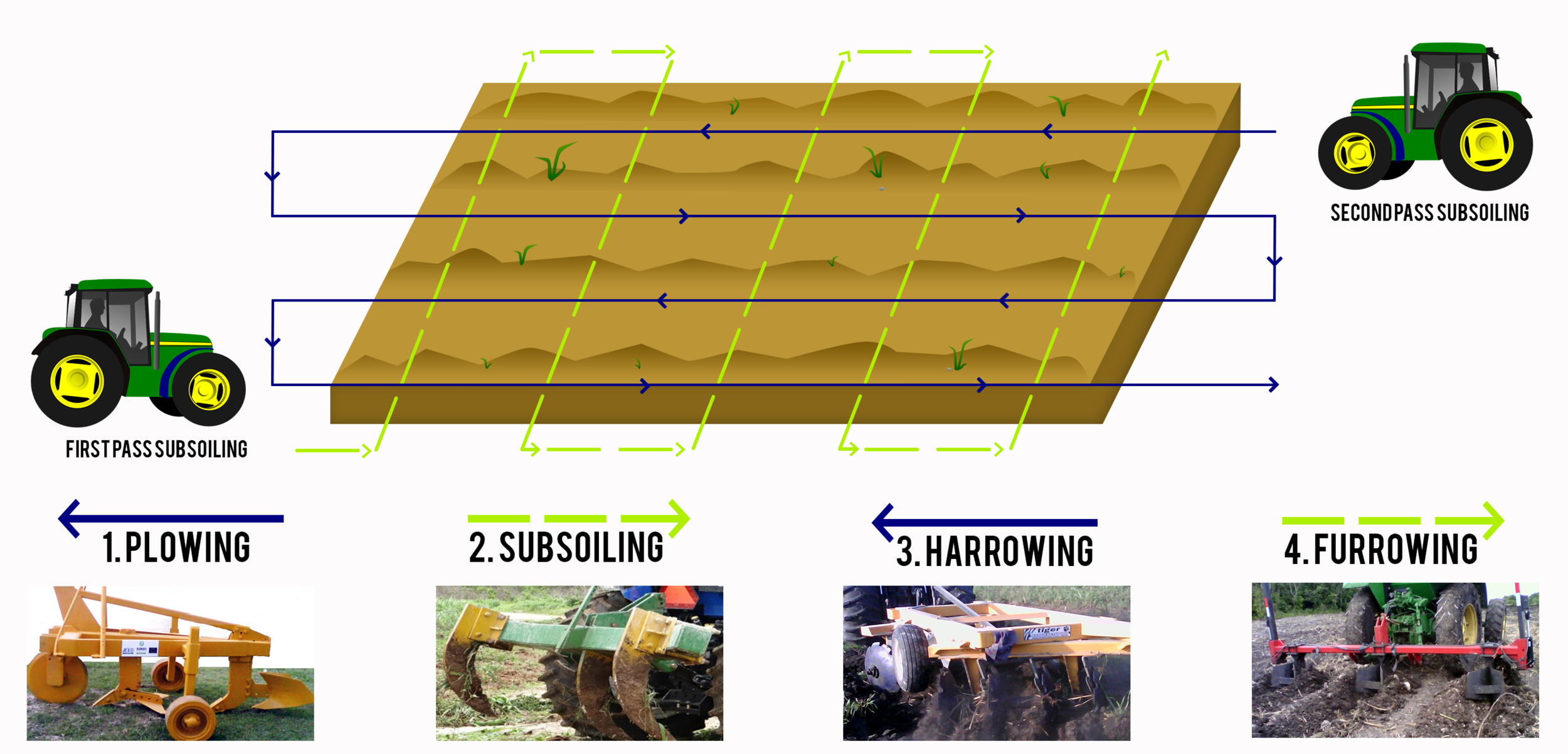 planting image.jpg