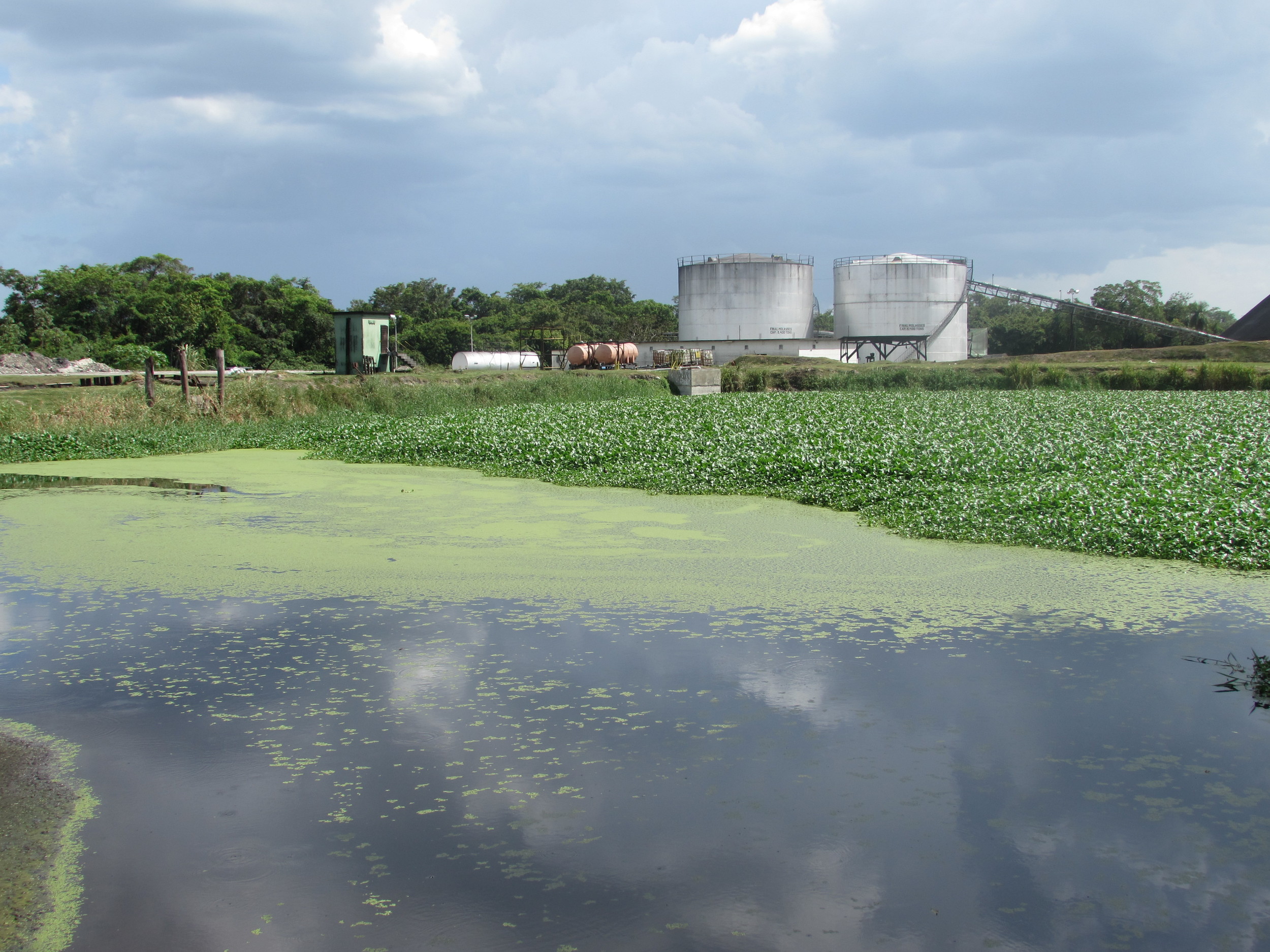 One of the Oxidation Ponds at BSI's Waste Water Treatment System