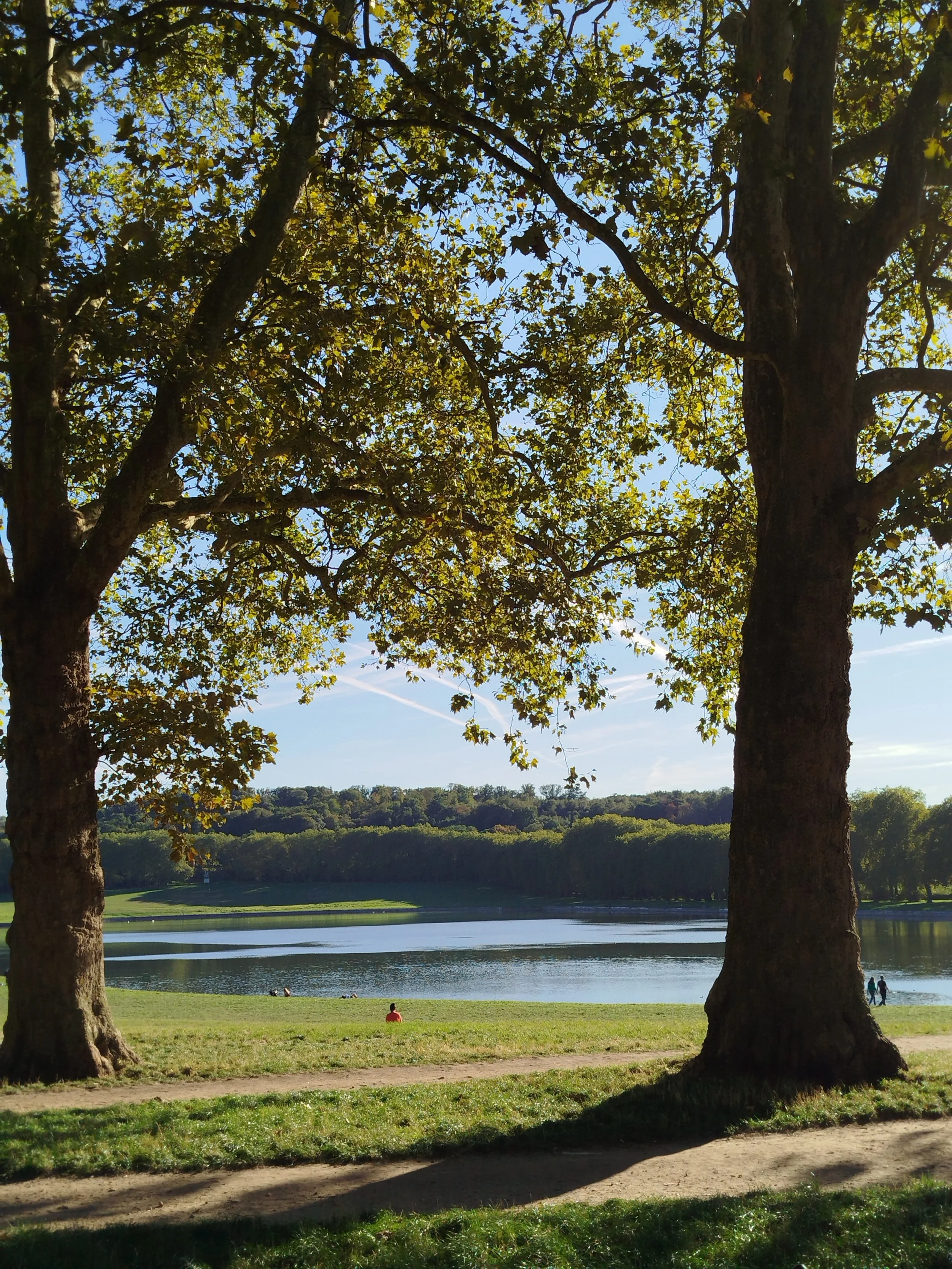 Bassin des Suisses- Versailles.jpg