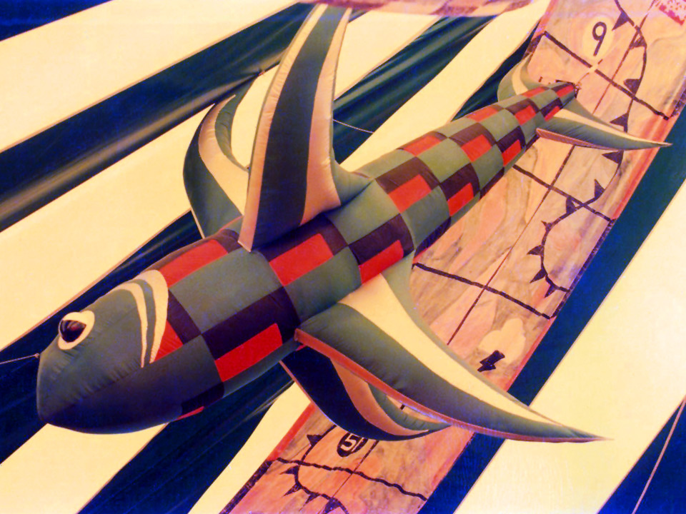 Flying Fish (2 available) 350cm Length £75.00
