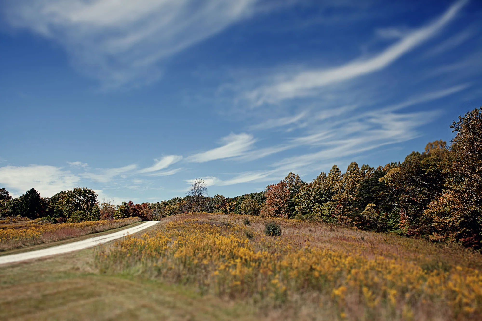 002_0002_Gates_2000.jpg