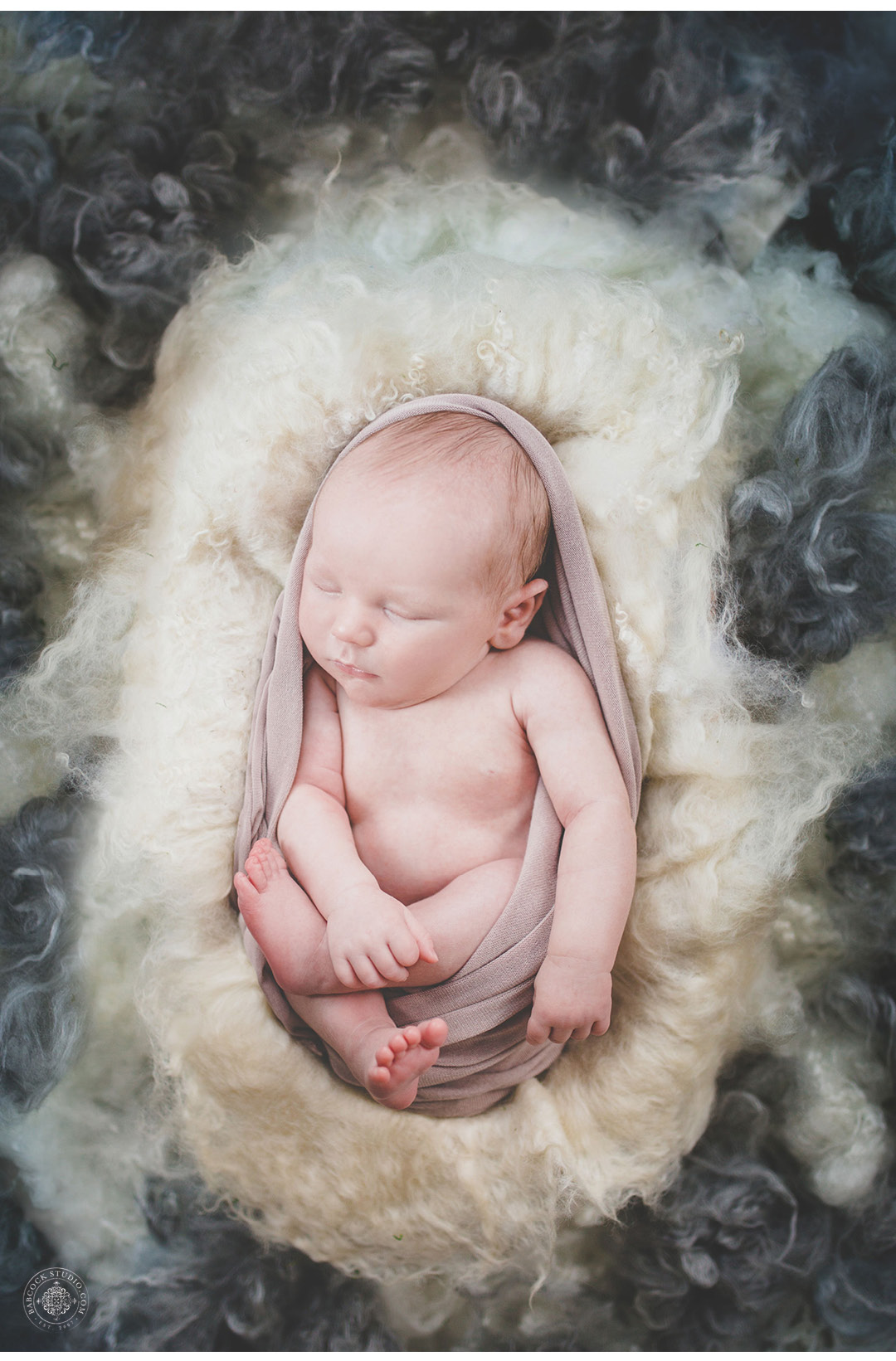 hollencampNB-newborn-photographer-dayton-ohio-7.jpg