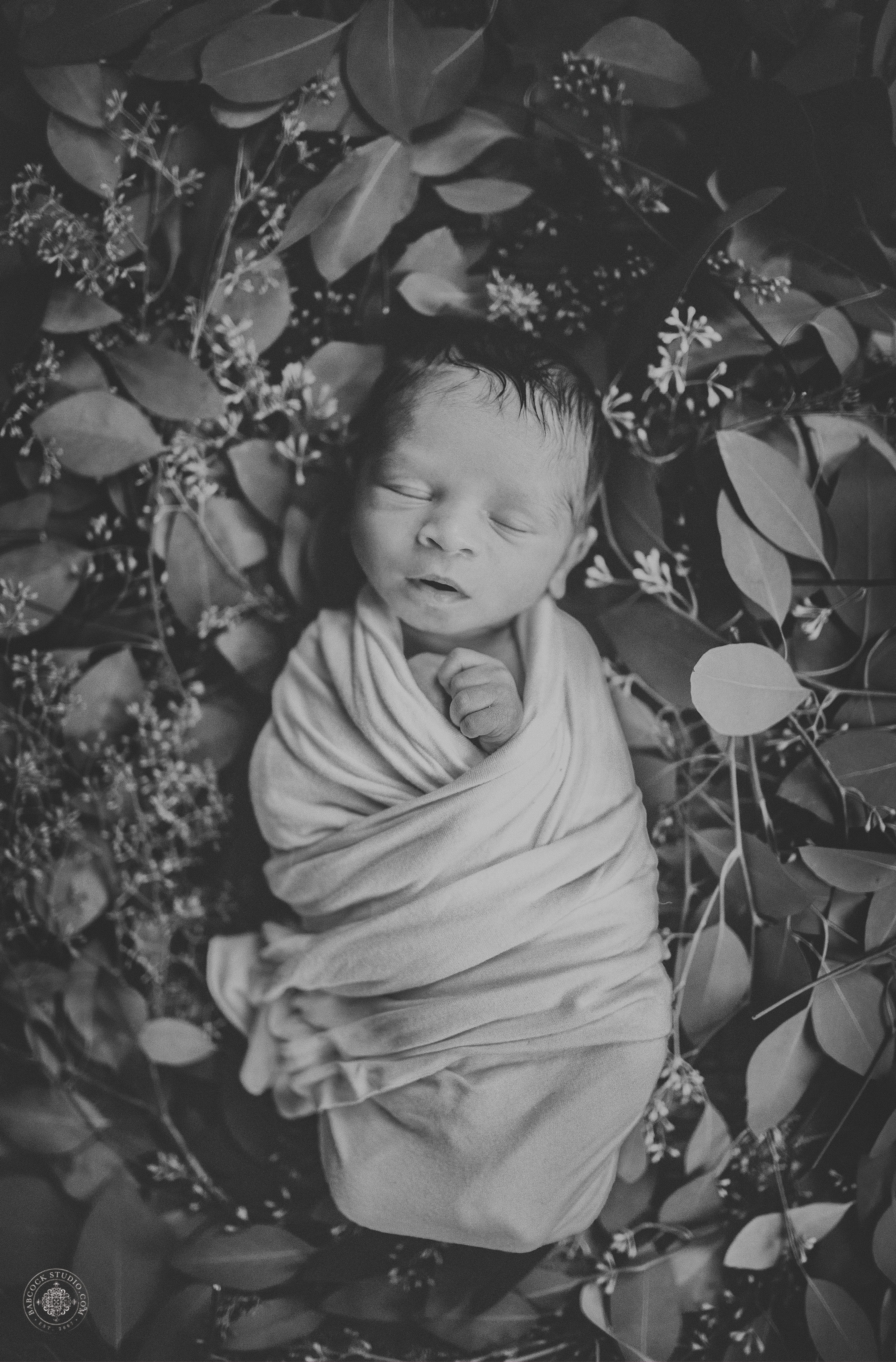 watras-newborn-2017-baby-photographer-dayton-ohio-.jpg