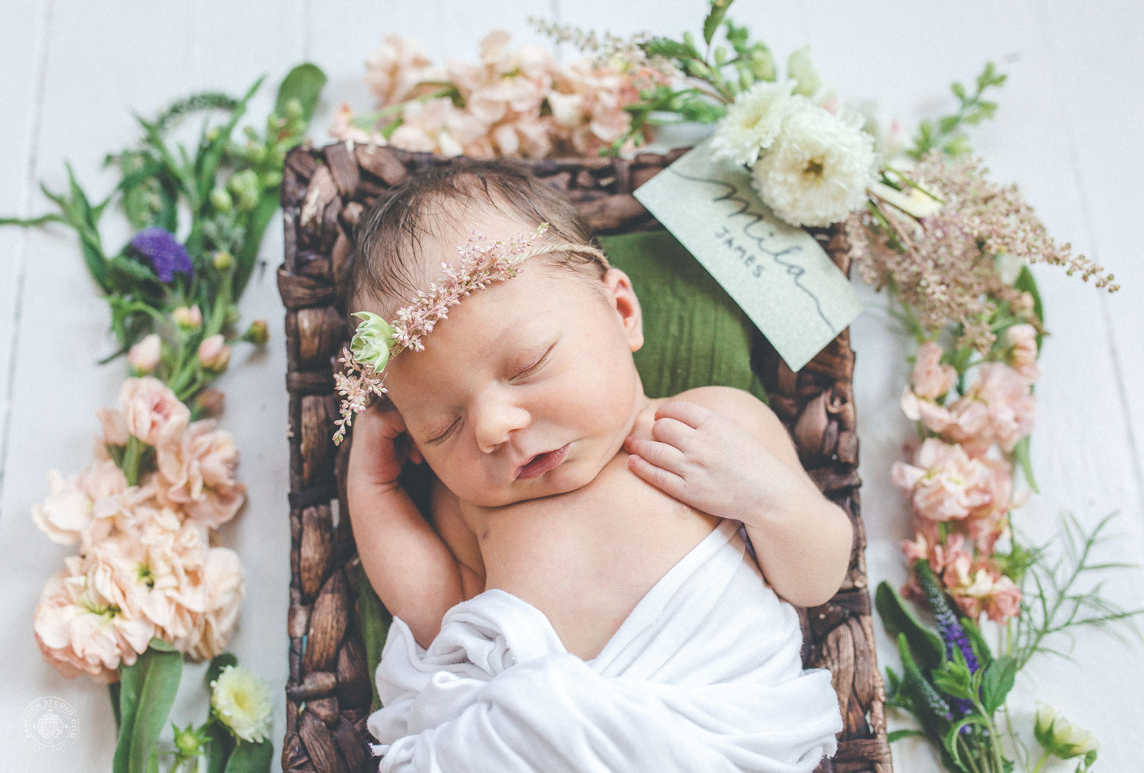 mila-newborn-children-photographer-dayton-ohio-12.jpg