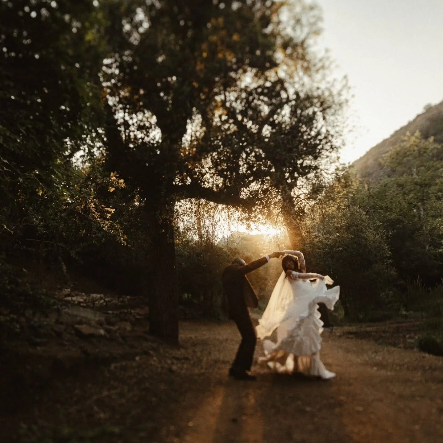 Golden hour in California just hits different 🌿✨
A quiet forest, a dirt road, and the kind of light that turns a moment into a feeling.

🏠 @havilahranch

These are the kinds of stories I&rsquo;ll travel anywhere for. From the Midwest to wherever yo