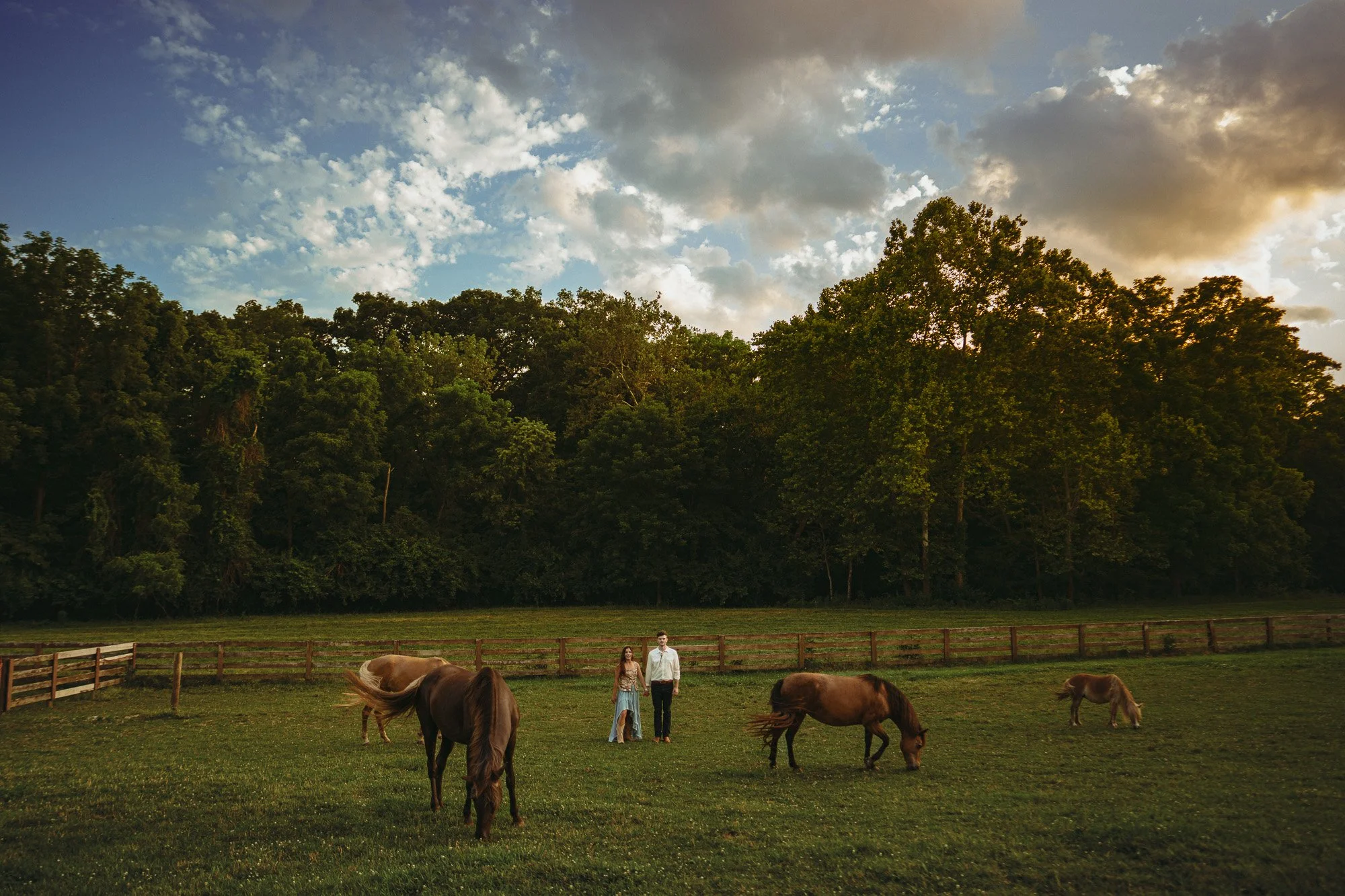 Kylie + Dallas // Sunset &amp; Horses Forever