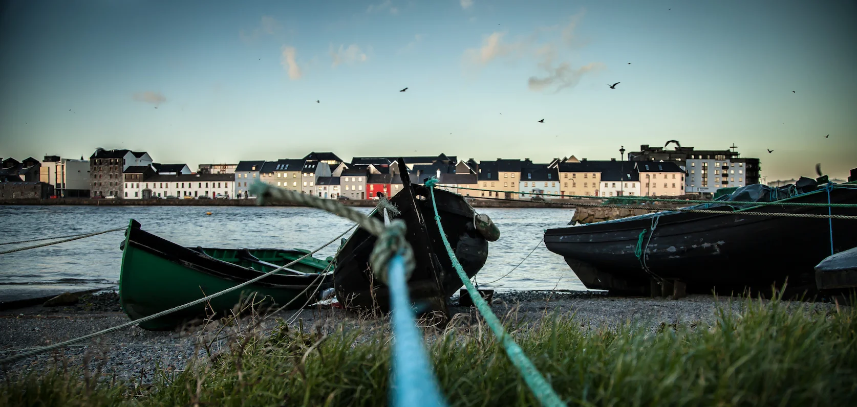3 - Patrick Kavanagh - patrickkavanagh.ie small cropped.jpeg