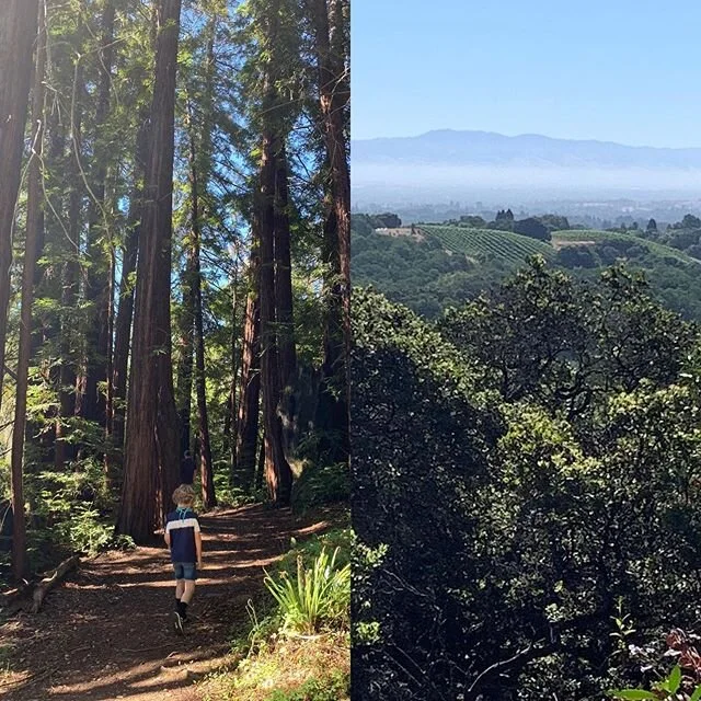 Morning Hikes are the BEST ! We are so lucky to live in a place we can see such beauty.