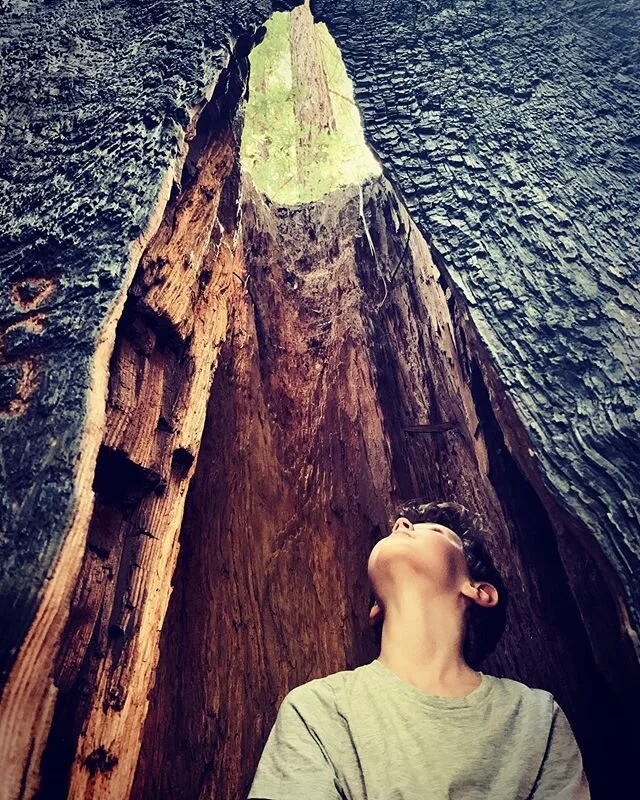Keep looking up...