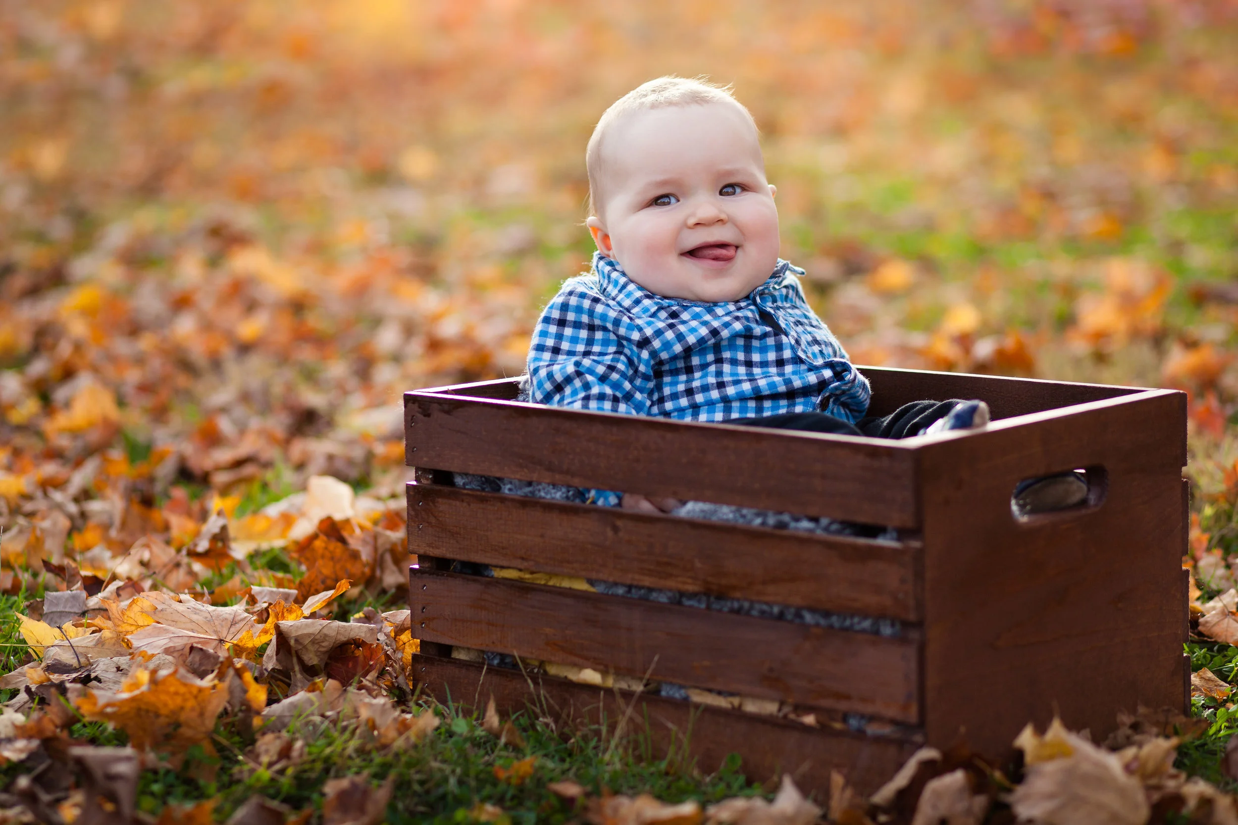 Rogers Family Fall 2014-PASS-0009.jpg