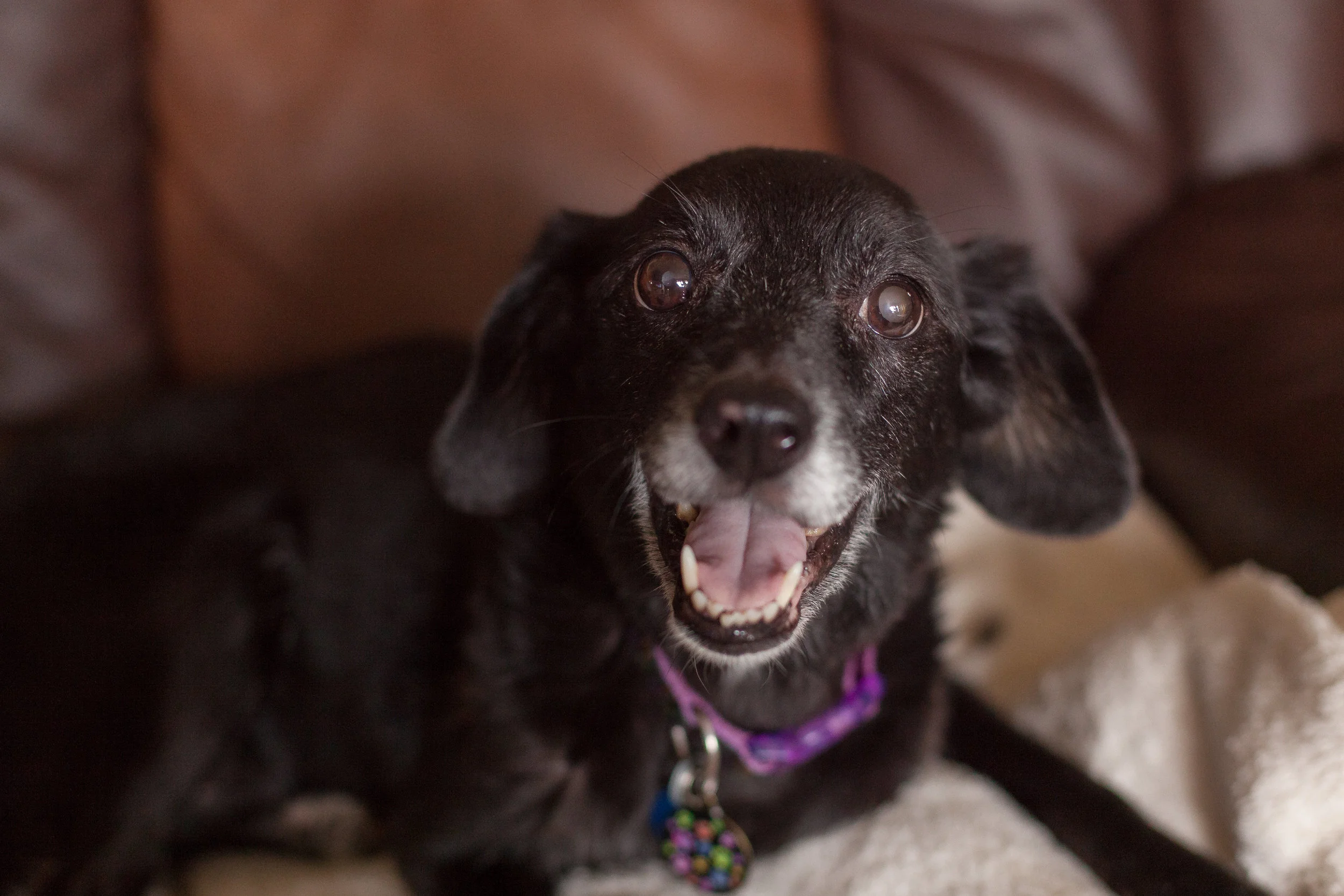 Katie Bug 2015-0006.jpg