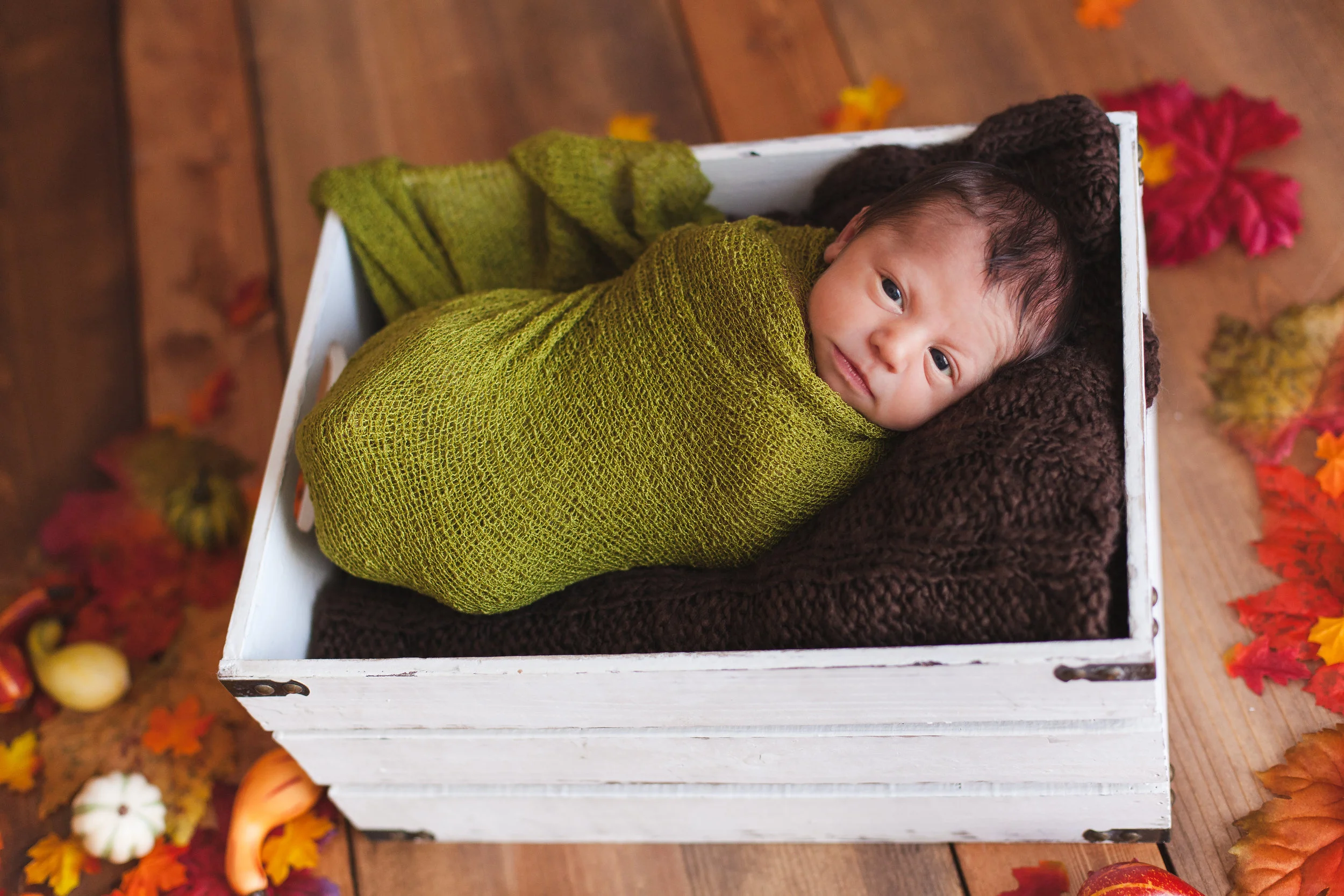 Owen Moore 2015-0043.jpg