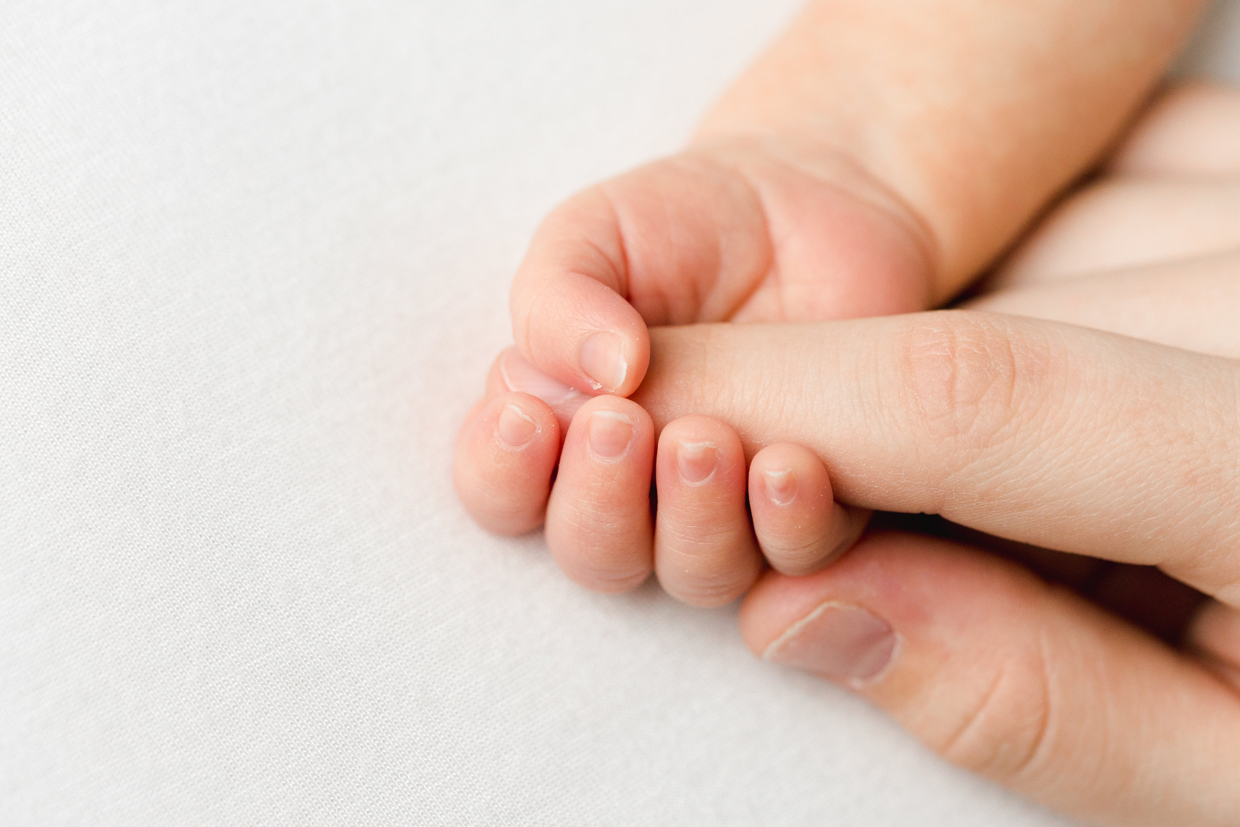 Columbus Newborn Photography