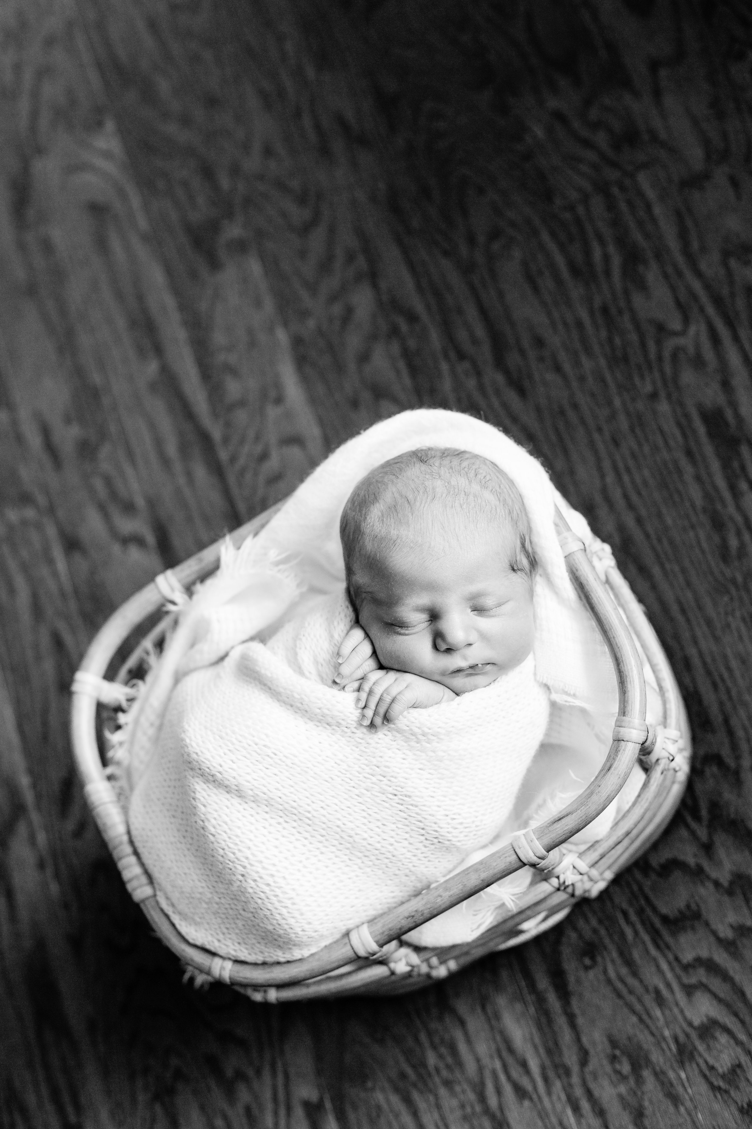 Newborn Photographer in Columbus Ohio