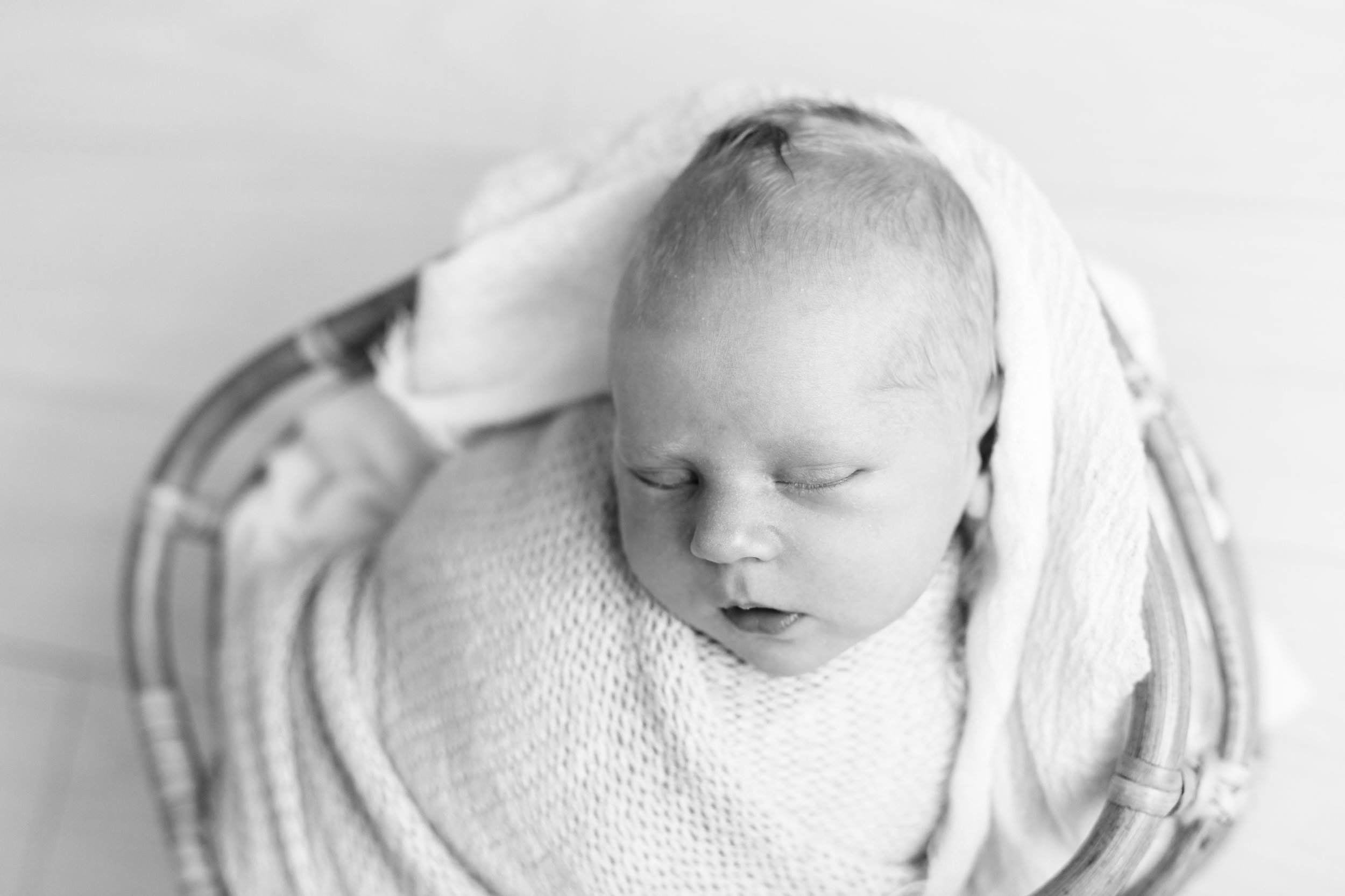 Columbus Newborn Photographer