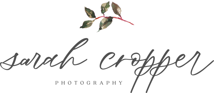 Columbus Ohio Newborn Photographer - Sarah Cropper Photography