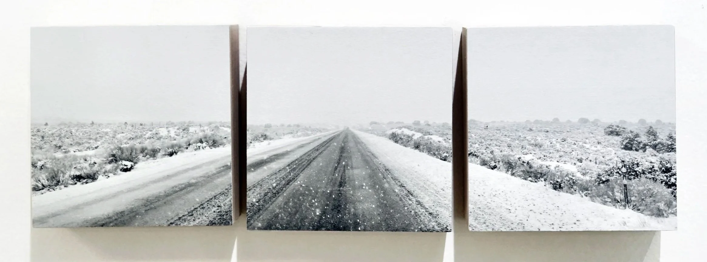 EXHIBIT REVIEW: IN GRAY: Soomin Ham at Multiple Exposures Gallery by Louis Jacobson