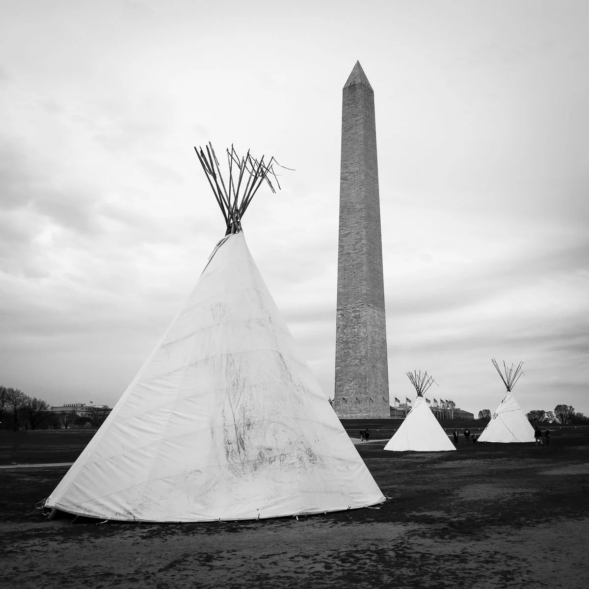 Johnson-Teepees on the Mall.jpg