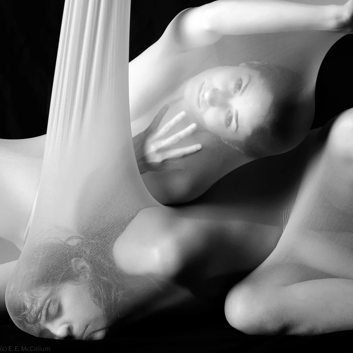 The Vicissitudes of a Project