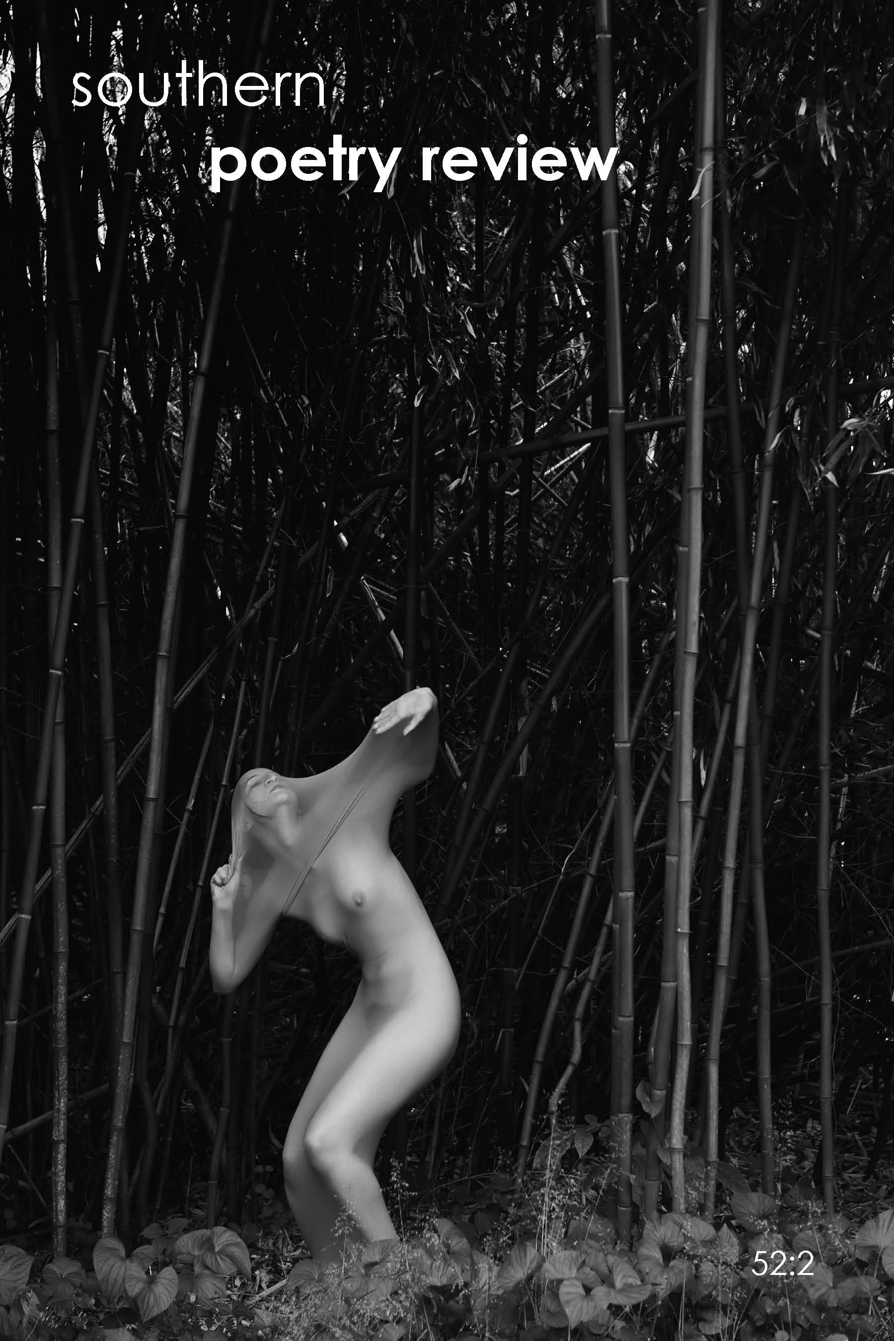 Image by E. E. McCollum featured on cover of Southern Poetry Journal