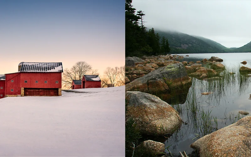 Colleen Henderson & Susan Meyers - New Exhibits