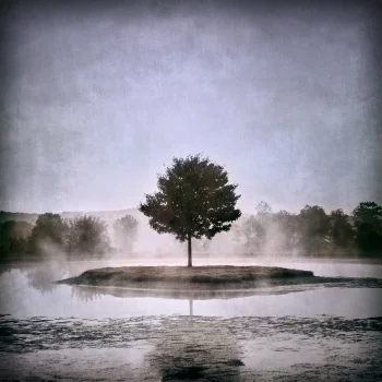 Colleen Henderson profiled by the Hill Rag