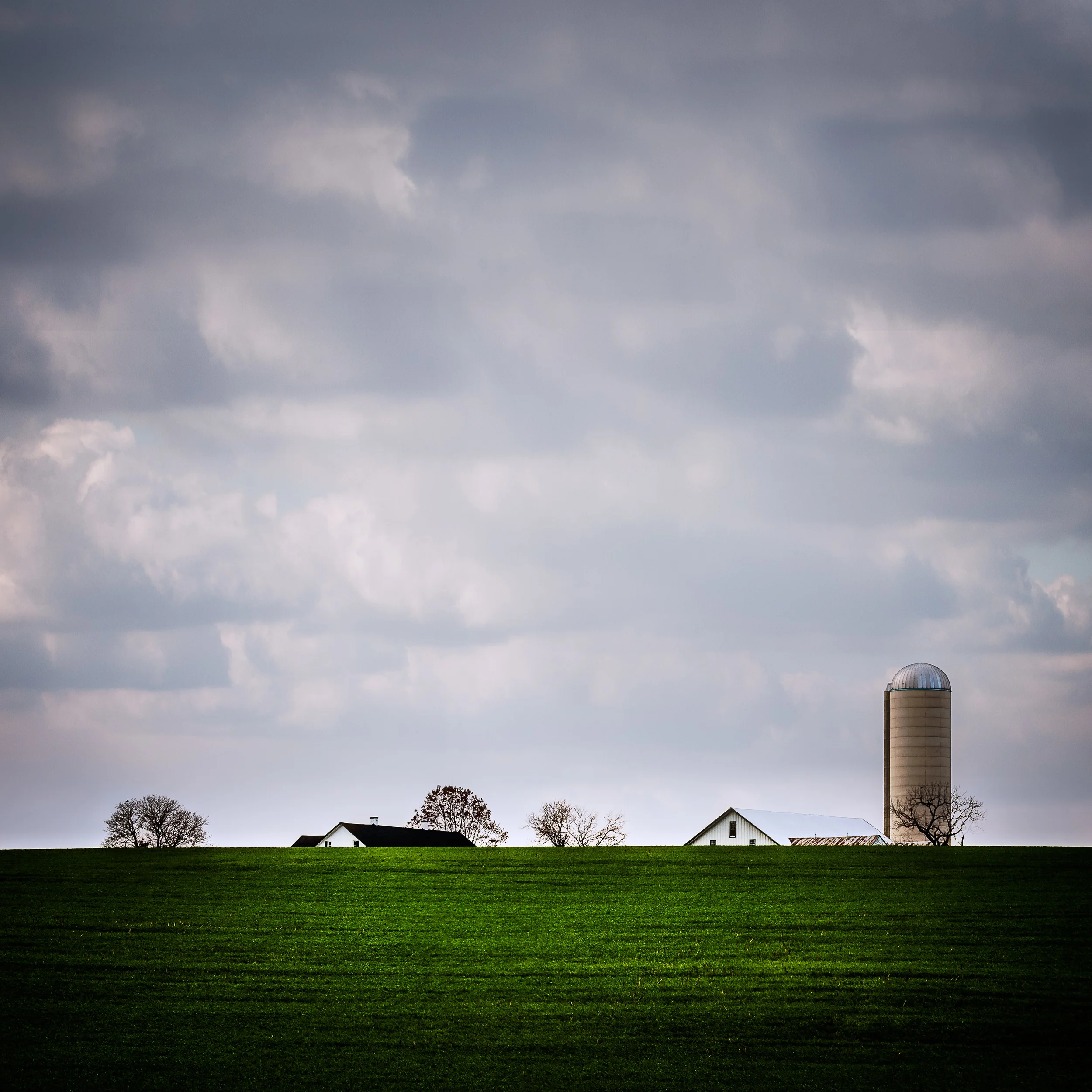 Multiple Exposures Gallery Summer Group Show Juried by Brady Robinson