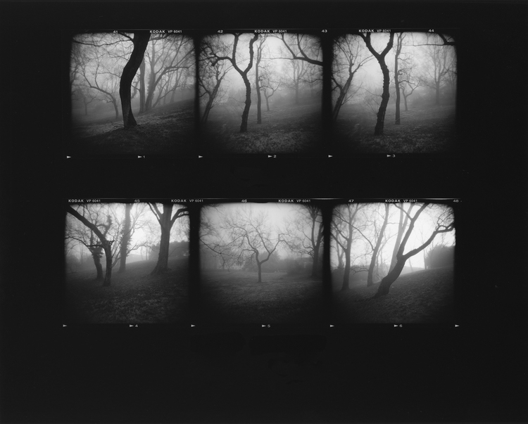 Karen Keating: "I Come From..."