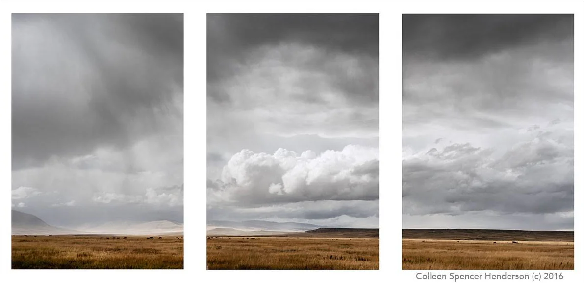 Colleen Henderson: Juror's Award at Maryland Federation of Art Exhibit