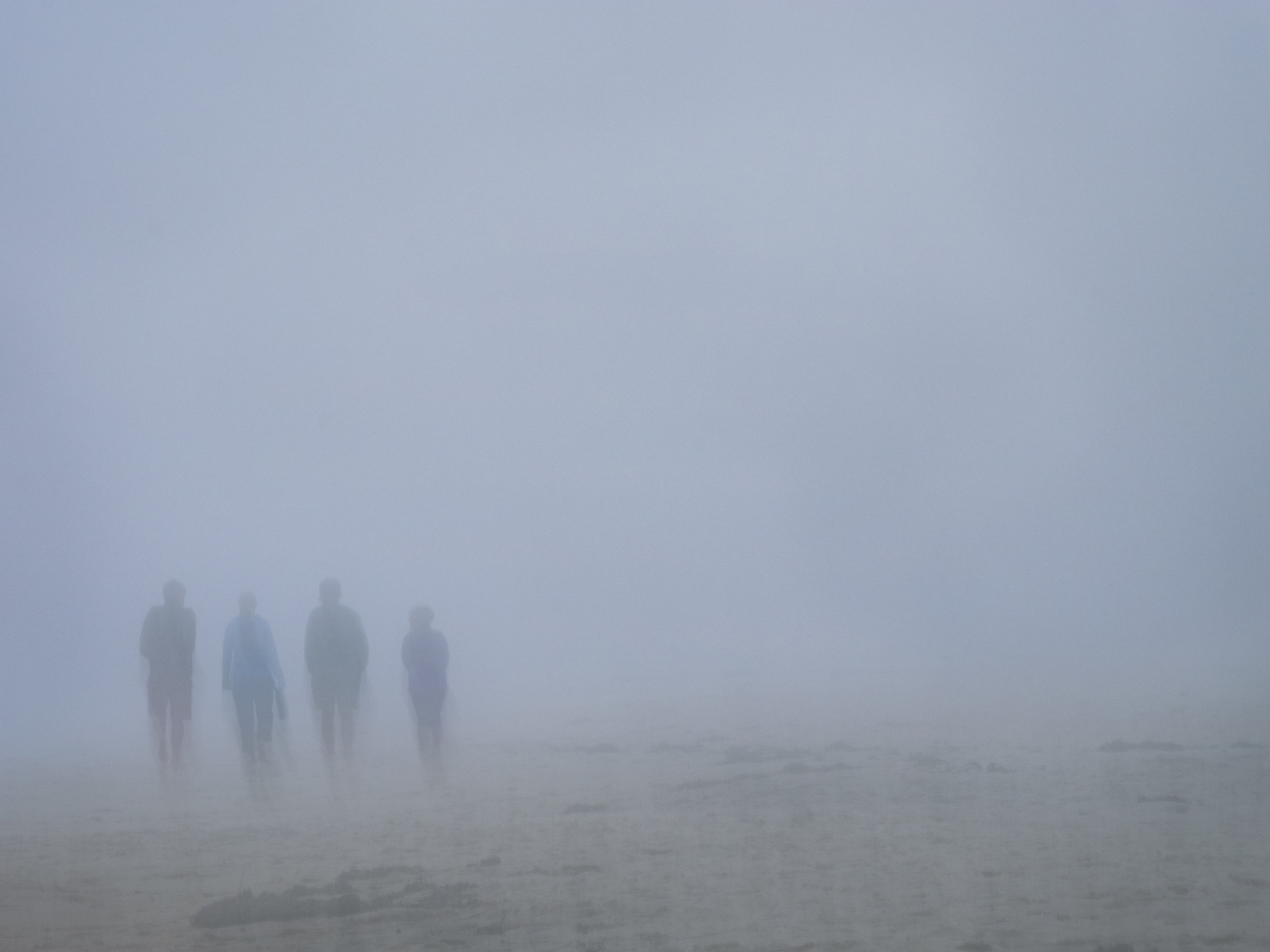 Sarah Hood Salomon - "Shorelines"