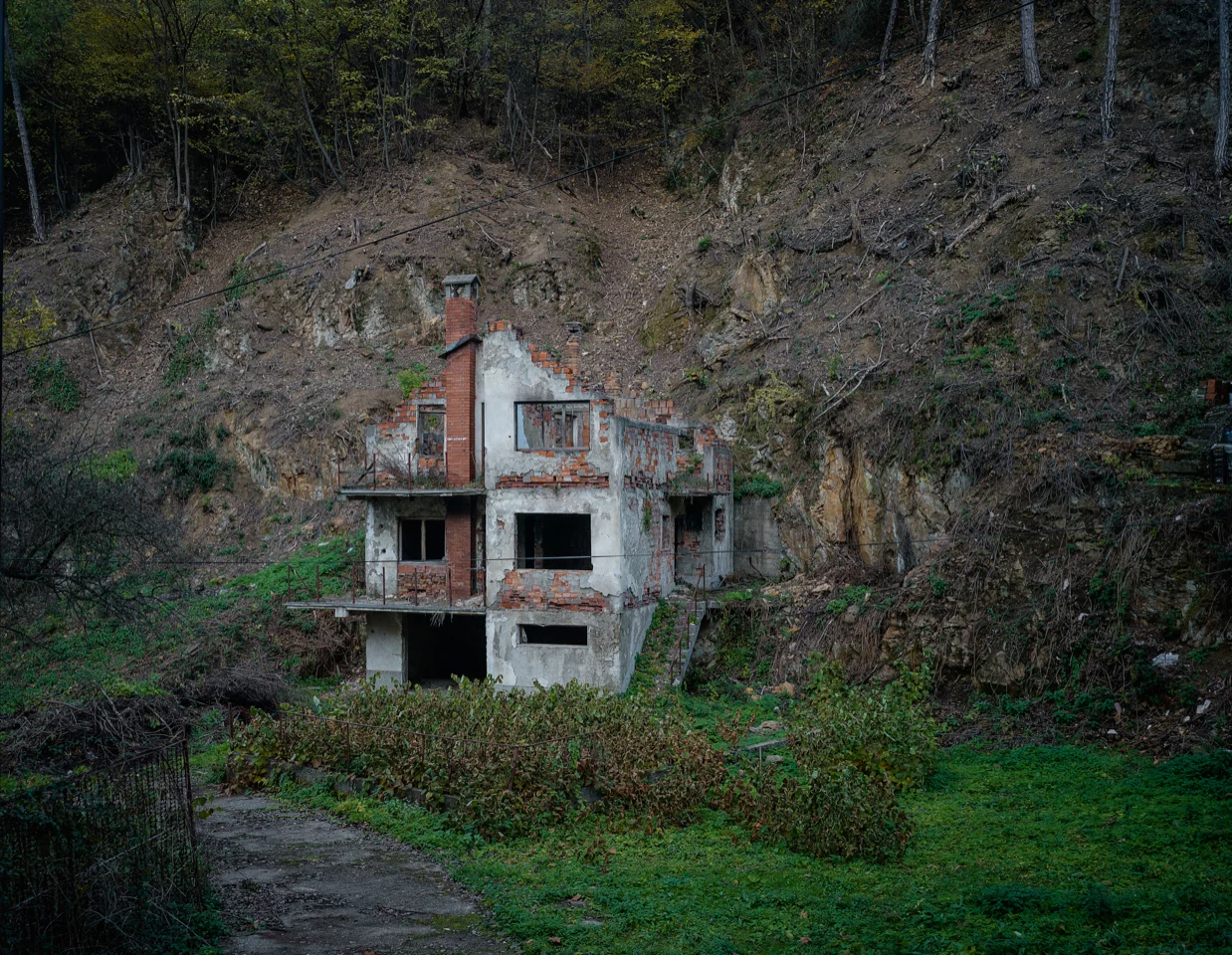 Timothy Hyde - "Neighbors"