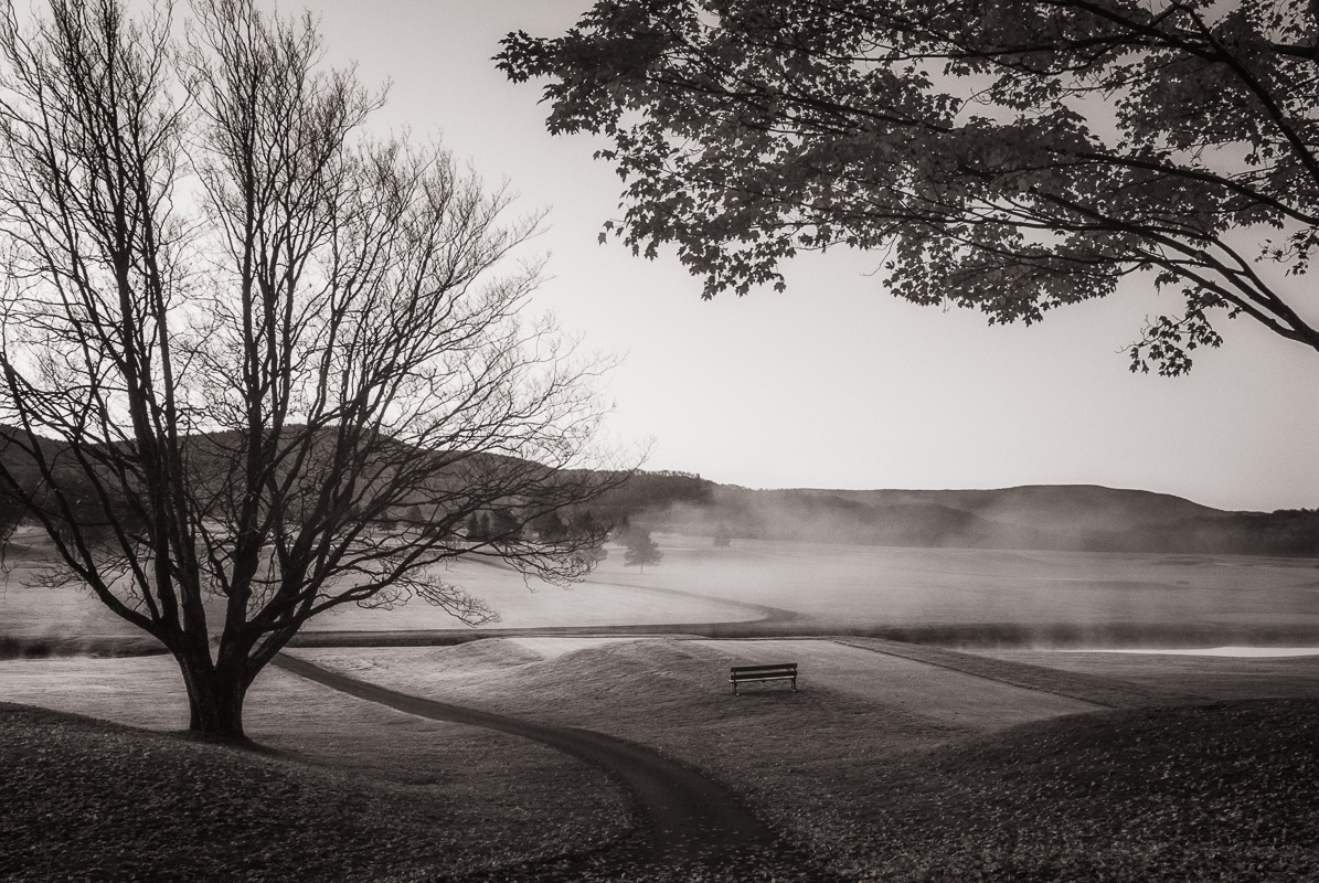 03-Bench in Fog