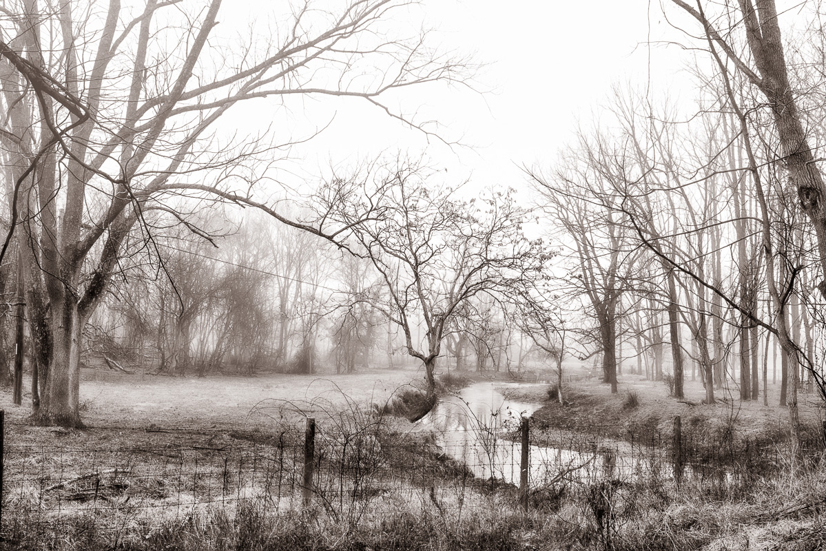 03-Broad Run Creek