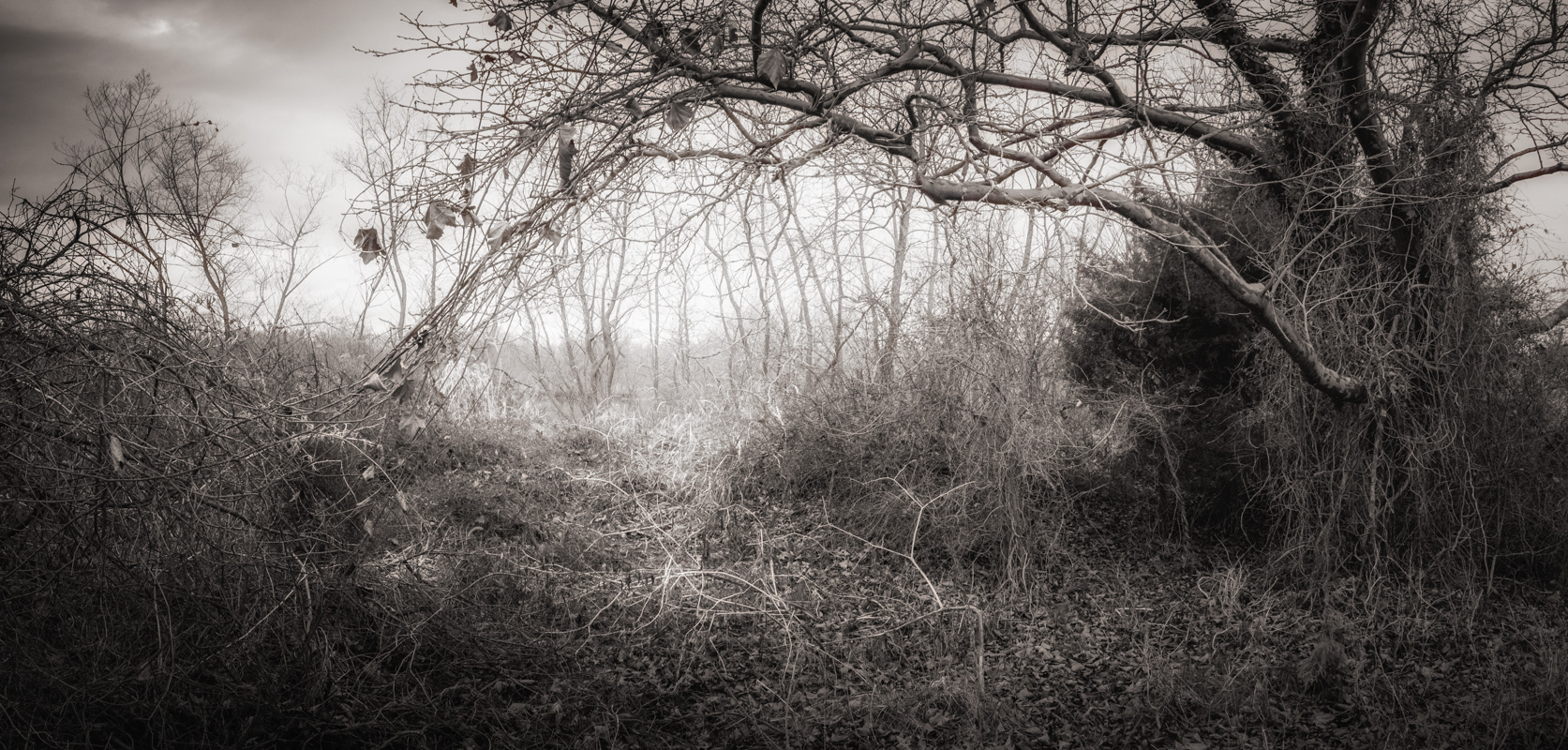 08-Pickering Creek1