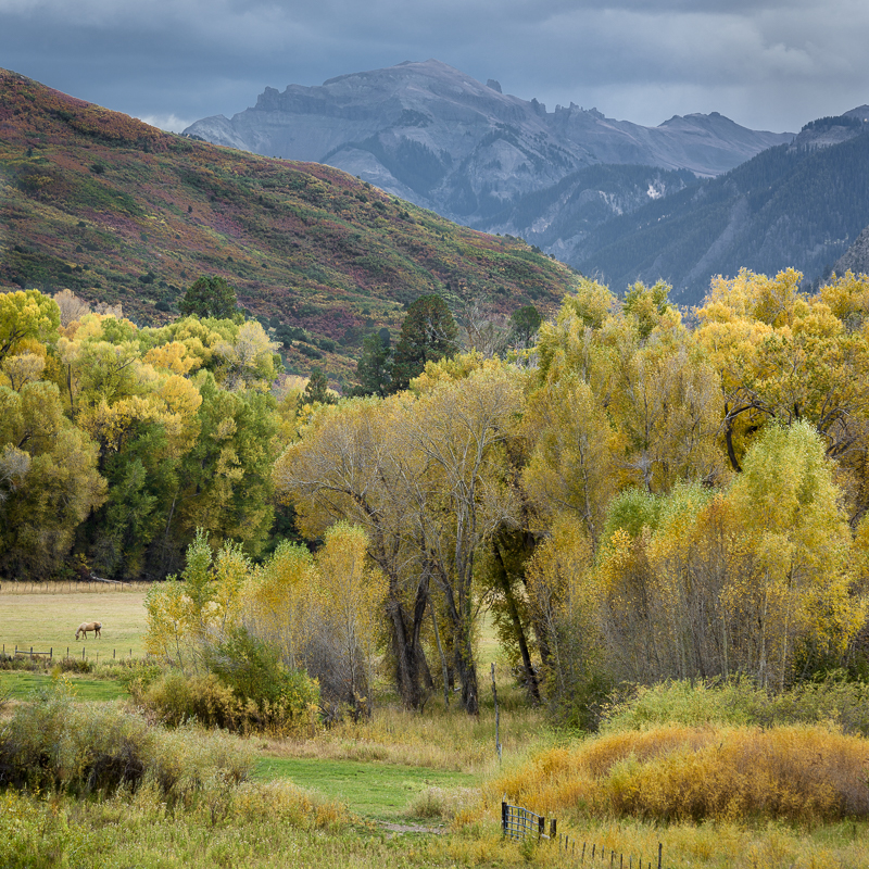 01-Fall Colorado Colors.jpg