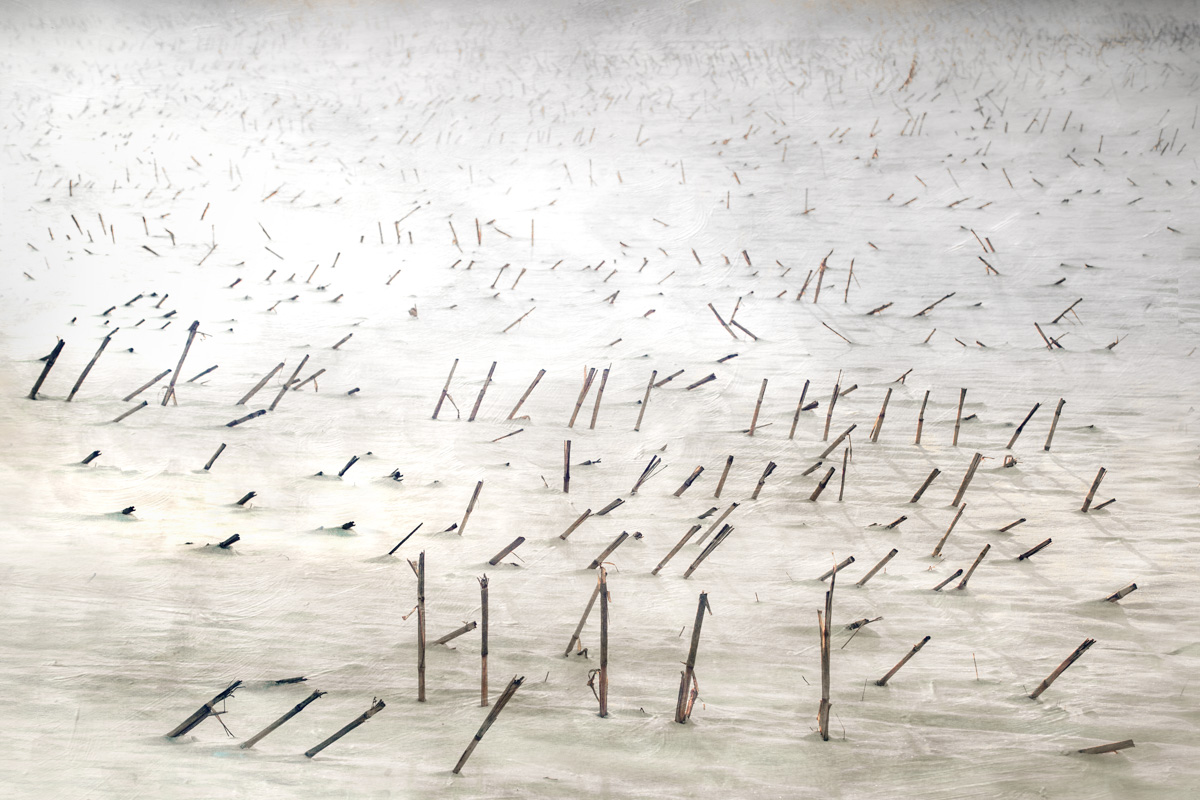 08-Field of Snow.jpg
