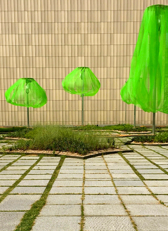 12-green umbrellas.jpg