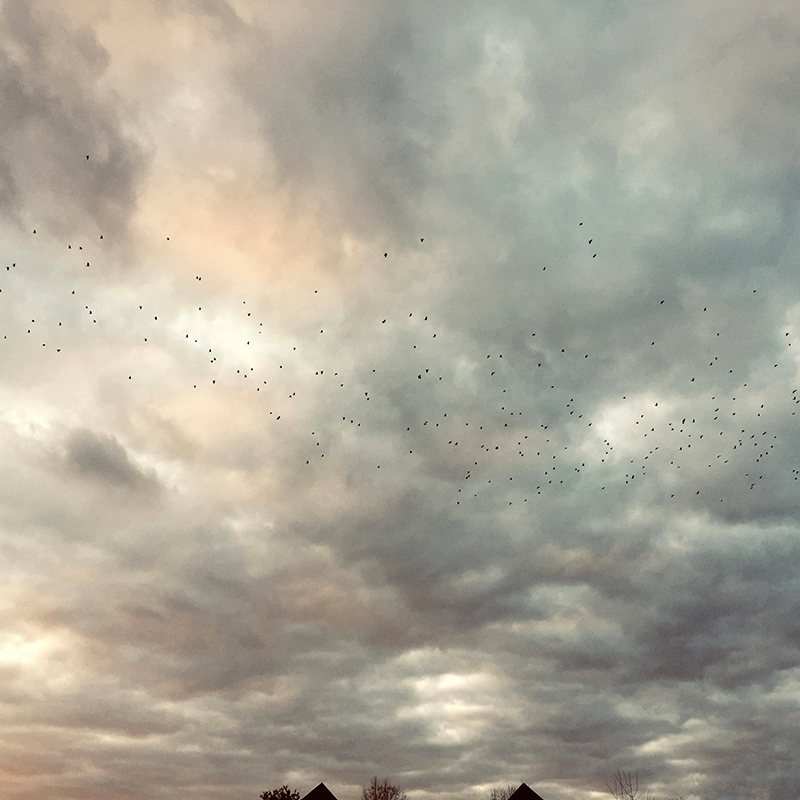 12-skyscape.jpg