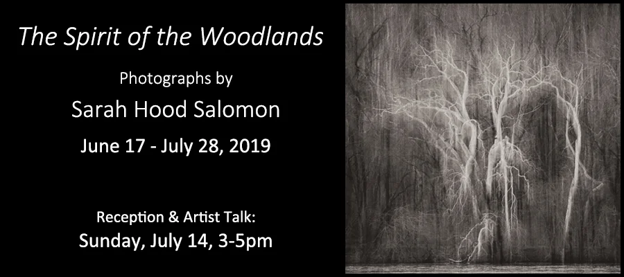 slide for exhibit Salomon 2019.jpg